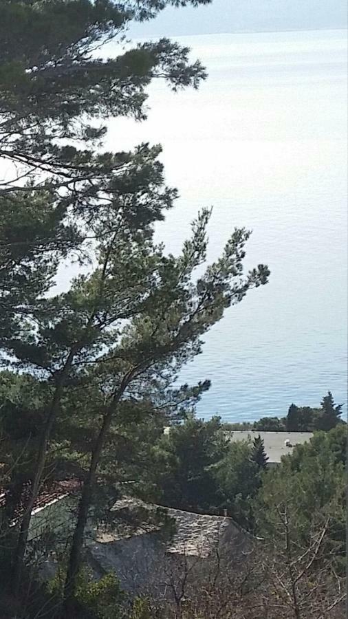 Apartament Mario